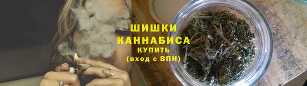 дурь Вяземский